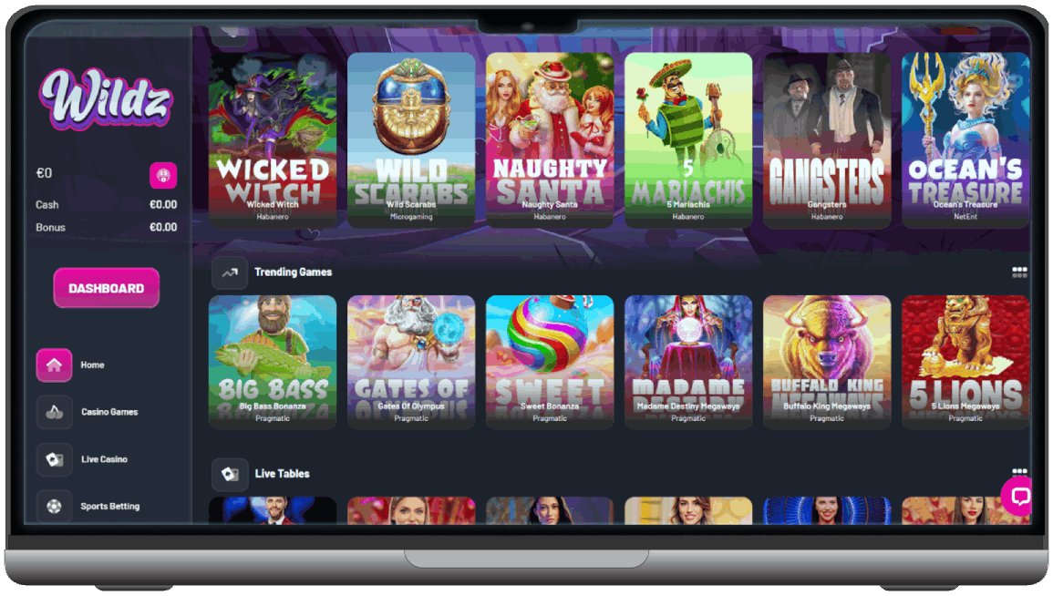 Screenshot of Wildzy Casino homepage (desktop view)